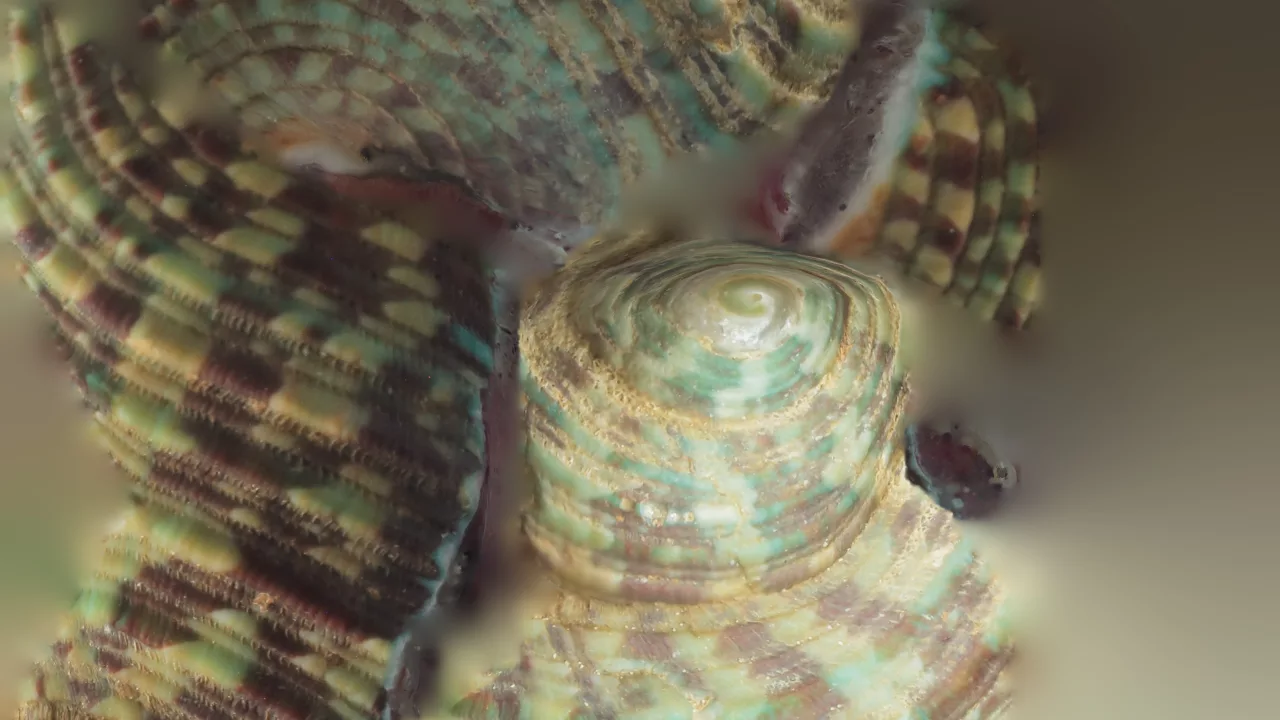 Ateliers d'écriture avec Matteo Zimmermann 1