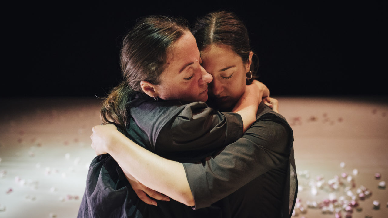 Le programme janvier — juin 2026 en FALC 3